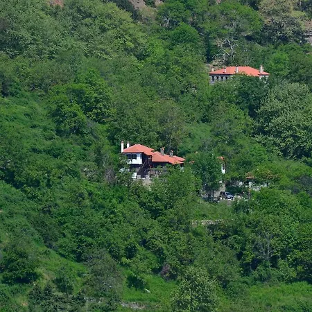 Apalni Traditional Ano Skotina
